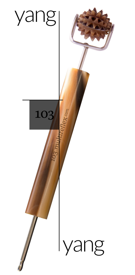 Dien Chan multireflex tools