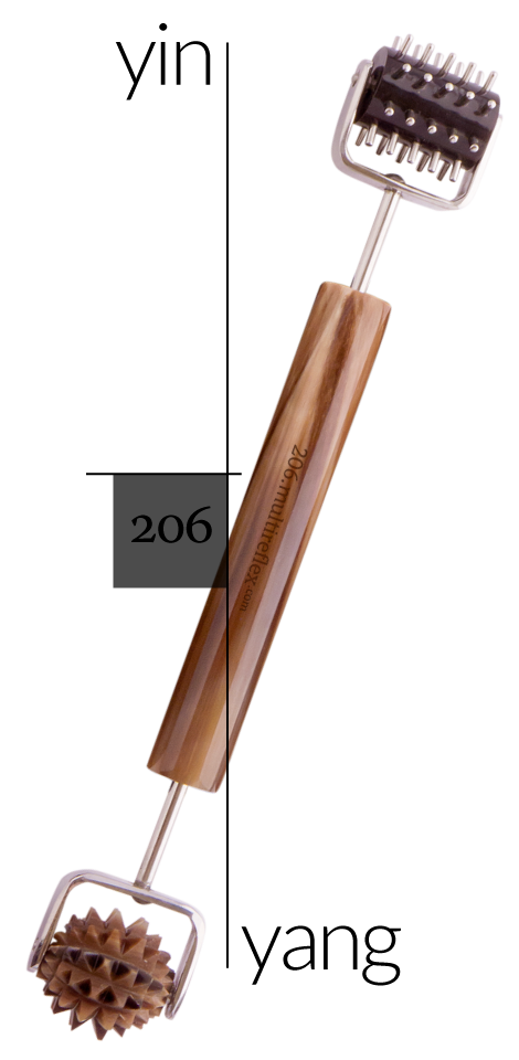 Dien Chan multireflex tools