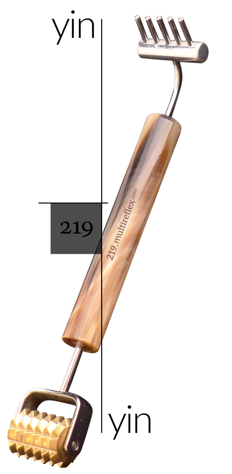 Dien Chan multireflex tools