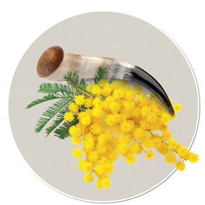 matières nobles outils Dien Chan